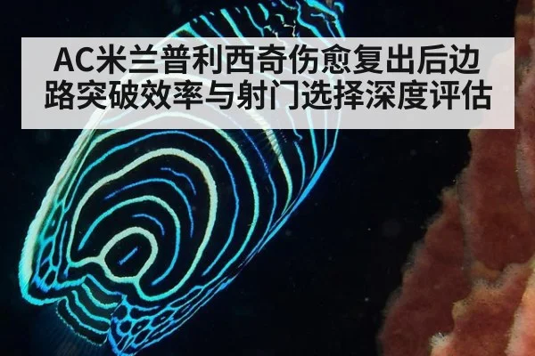 AC米兰普利西奇伤愈复出后边路突破效率与射门选择深度评估